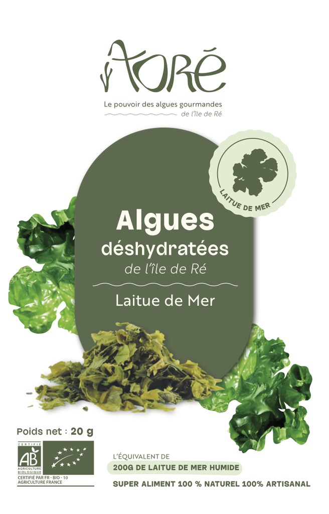 Laitue de Mer